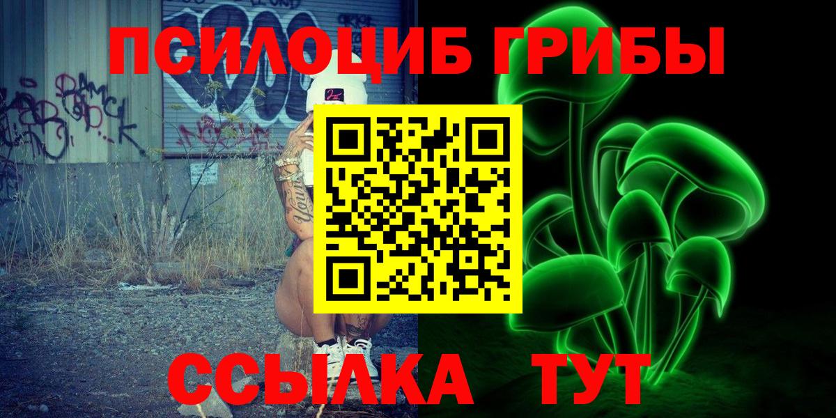 Галлюциногенные грибы Psilocybe Анжеро-Судженск