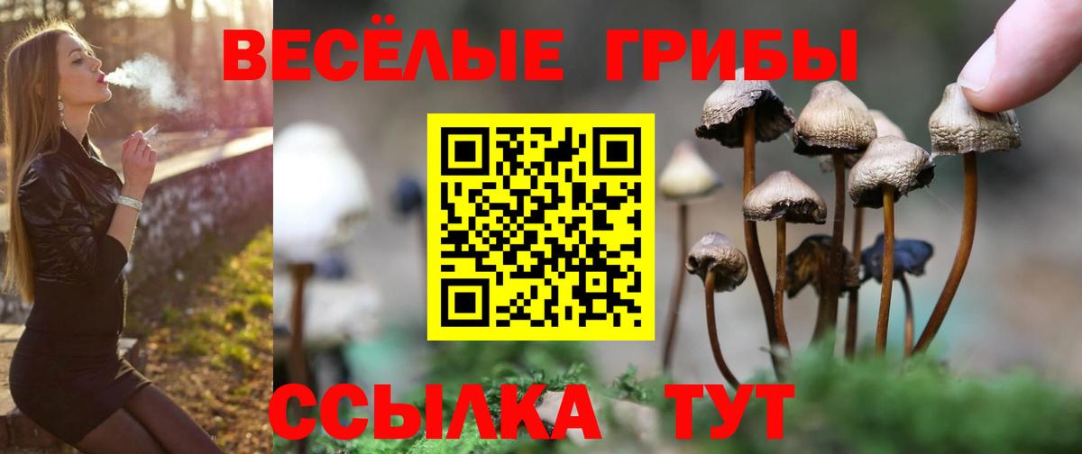 Галлюциногенные грибы Magic Shrooms  Галлюциногенные грибы ЛСД  Вход с VPN  Анжеро-Судженск 